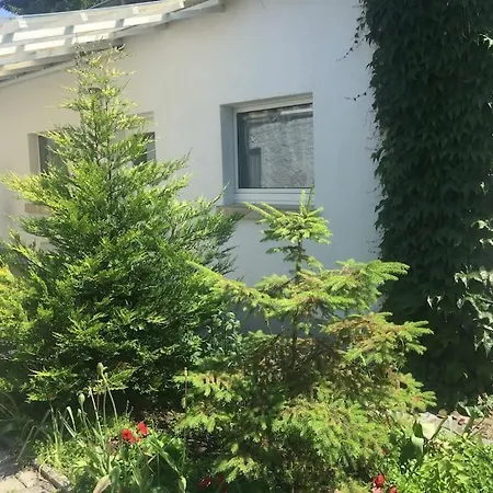 Kleines Haeuschen Am Garten In Darmstadt Exterior photo