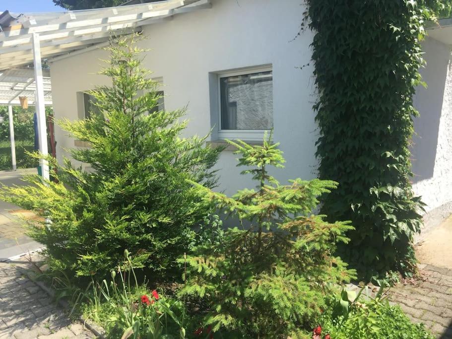 Kleines Haeuschen Am Garten In